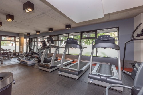 Salle d'exercice - 102-400 Rue De L'Inspecteur, Montréal (Le Sud-Ouest), QC - Indoor Photo Showing Gym Room