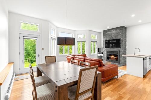 Vue d'ensemble - 143 Ch. Du Hibou, Potton, QC - Indoor With Fireplace