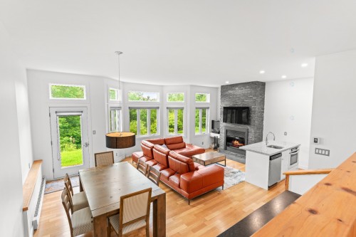 Vue d'ensemble - 143 Ch. Du Hibou, Potton, QC - Indoor Photo Showing Living Room With Fireplace