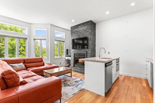 Salon - 143 Ch. Du Hibou, Potton, QC - Indoor Photo Showing Living Room With Fireplace