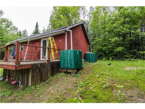 76 Back Rd, Summerfield, NB 