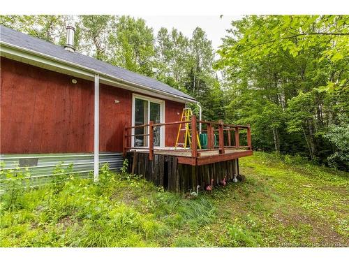 76 Back Rd, Summerfield, NB 