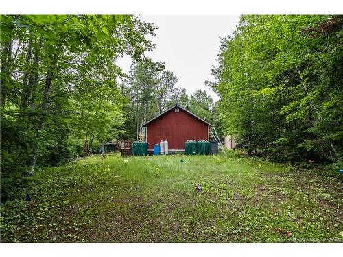 76 Back Rd, Summerfield, NB 