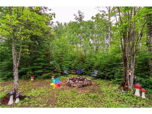 76 Back Rd, Summerfield, NB 