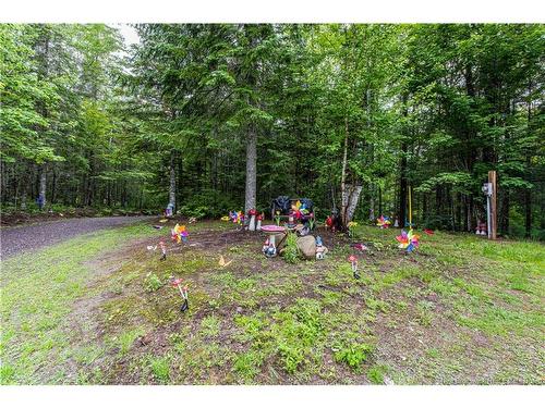 76 Back Rd, Summerfield, NB 