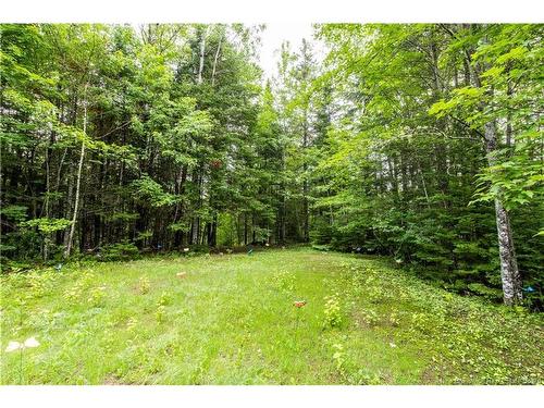 76 Back Rd, Summerfield, NB 