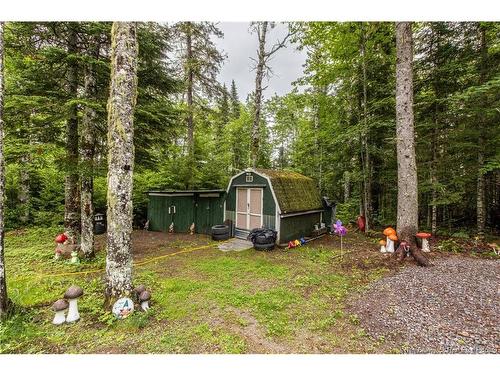 76 Back Rd, Summerfield, NB 