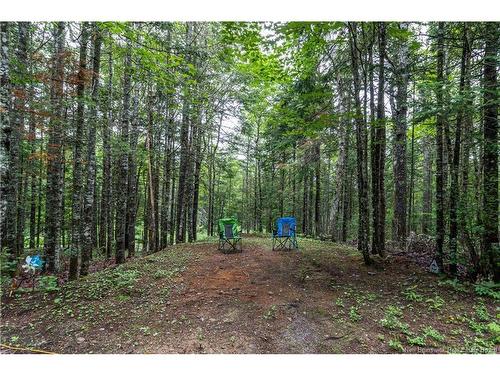 76 Back Rd, Summerfield, NB 