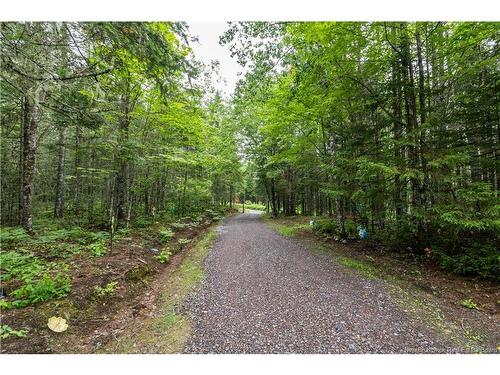 76 Back Rd, Summerfield, NB 