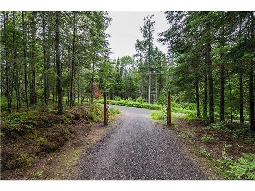 76 Back Rd, Summerfield, NB 