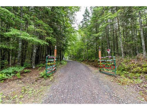 76 Back Rd, Summerfield, NB 