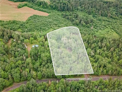 76 Back Rd, Summerfield, NB 