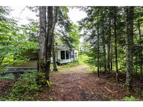 84 Back Rd, Summerfield, NB 