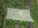 84 Back Rd, Summerfield, NB 