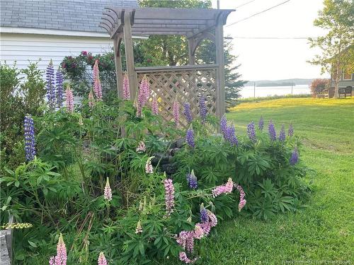 39 Cooks Point Rd, Wilsons Beach, NB 