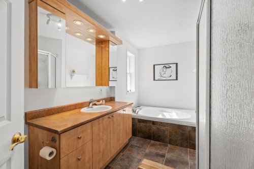 Bathroom - 22 Rue Du Joli-Bosquet, Sainte-Marguerite-Du-Lac-Masson, QC - Indoor Photo Showing Bathroom