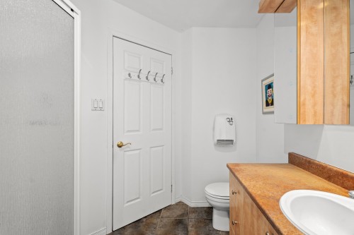 Bathroom - 22 Rue Du Joli-Bosquet, Sainte-Marguerite-Du-Lac-Masson, QC - Indoor Photo Showing Bathroom