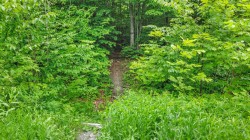 Terre/Terrain - 