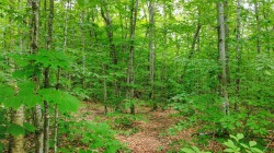 Terre/Terrain - 
