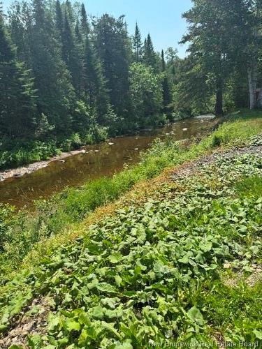 514 Howard Brook Rd, Howard Brook, NB 
