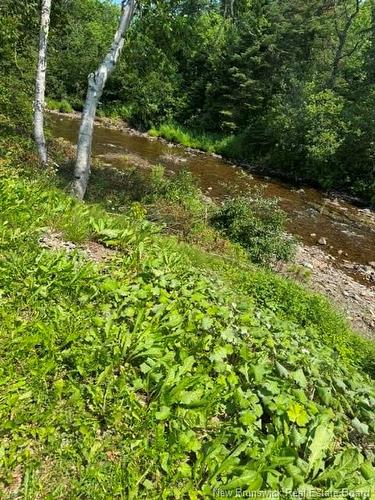 514 Howard Brook Rd, Howard Brook, NB 