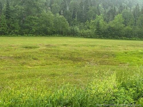 514 Howard Brook Rd, Howard Brook, NB 