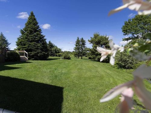 131 Fox Ranch Road, East Amherst, NS 