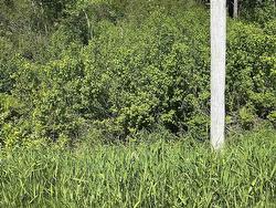 Lot 2 Stewood Drive Sydney River, NS B1L 1C6