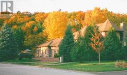 Fall Colours! - 