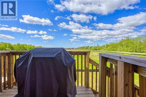 419 Pumpkin Pass, Binbrook, ON 