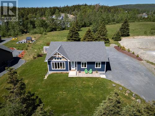 7 Bridle Path, Blaketown, NL 