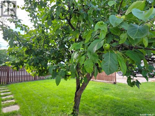226 9Th Avenue Ne, Swift Current, SK 