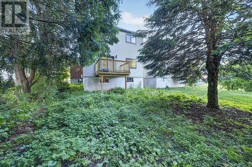 55 Russ Street, Cambridge, ON 