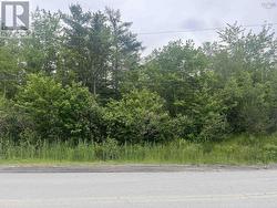 Lot 1C Renfrew Road  Enfield, NS B2T 1H6