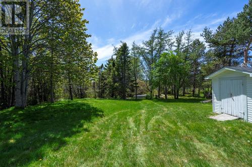 18 Bareneed Road, Coley'S Point, NL 