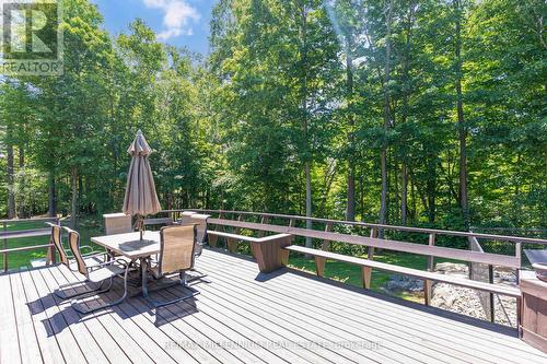 6072 5Th Side Road, Innisfil, ON 