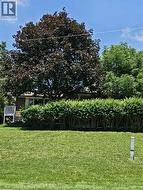 Expansive green lawn with mature trees and established shrubbery - 