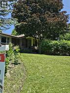 Mature tree providing shade to the front facade - 