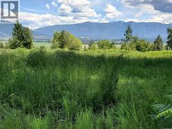 Lot 2 Simmons Road Creston, BC V0B 1G7