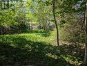 72 Fox Avenue, St. John'S, NL 