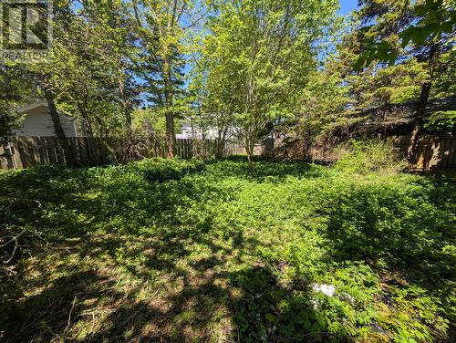 72 Fox Avenue, St. John'S, NL 