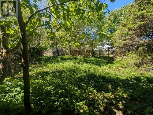 72 Fox Avenue, St. John'S, NL 
