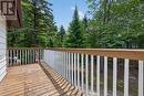 6 Brunelle Road, Tiny, ON 