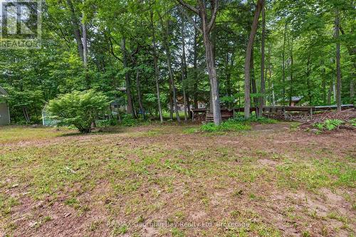 6 Brunelle Road, Tiny, ON 