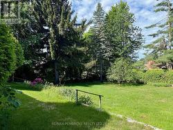 Backyard - 