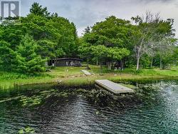 Shoreline - 