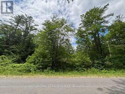 2159 SOUTHWOOD ROAD  Gravenhurst, ON P0E 1G0
