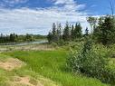 235 Pth 10 Highway, Onanole, MB 