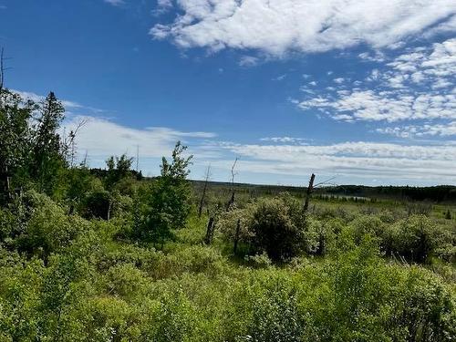 235 Pth 10 Highway, Onanole, MB 