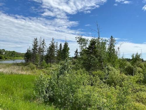 235 Pth 10 Highway, Onanole, MB 